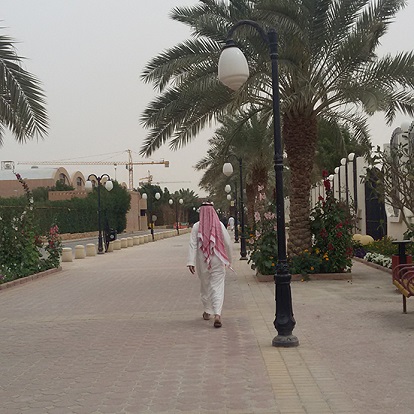 My Saudi Adventures