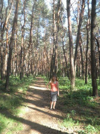 8 months in ukraine Gregorovski_forest