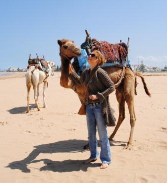 beyond marrakech Camel kisses