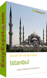 Guide for expatriates in Istanbul, Turkey