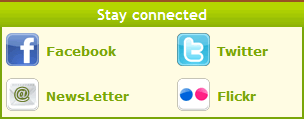 Social Network box for EasyExpat: Facebook, Twitter, Flickr and Newsletter